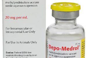 Depo Medrol for Horses