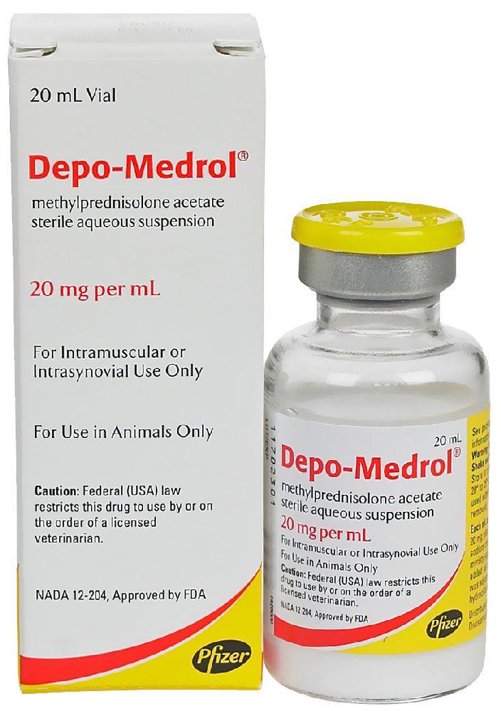 Depo Medrol for Horses